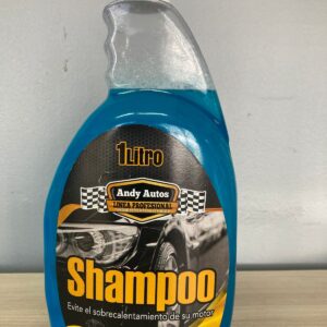 Shampoo Automotriz Brillo y Protección 1 Litro